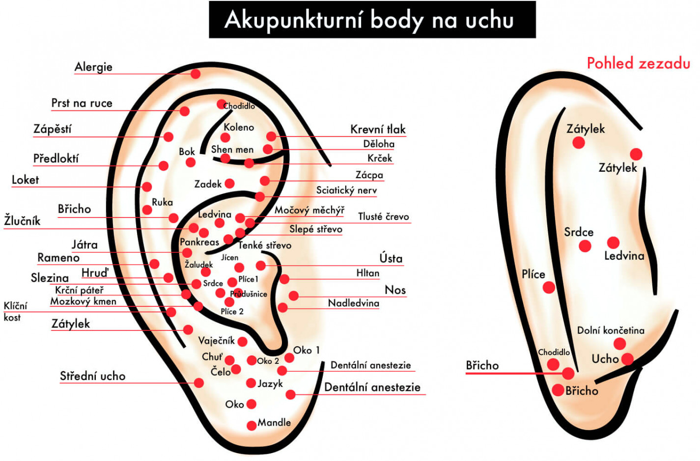 Akupunkturní body na uchu