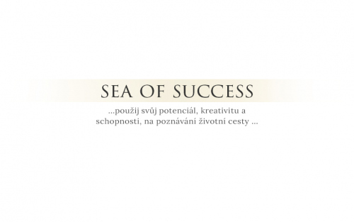 Sea of success